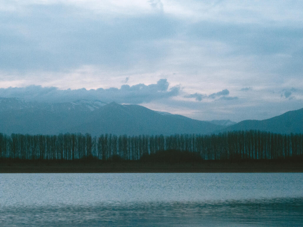 Untitled Untitled
